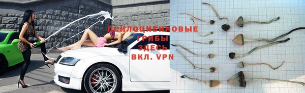 спайс Алексеевка