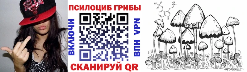 где найти наркотики  Дыгулыбгей  маркетплейс Telegram  Псилоцибиновые грибы мицелий 