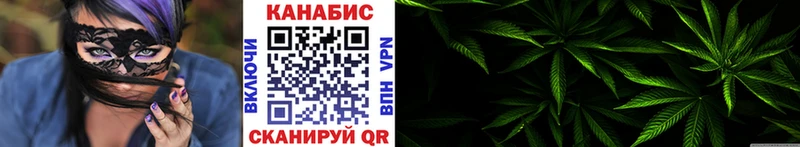 Канабис планчик  Дыгулыбгей 
